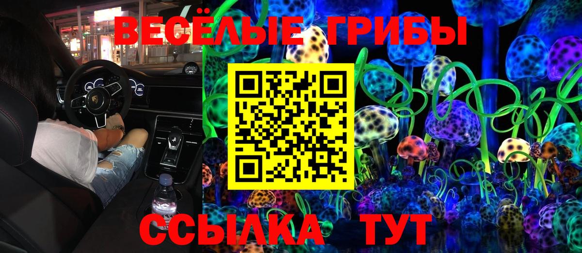 Галлюциногенные грибы GOLDEN TEACHER Северобайкальск