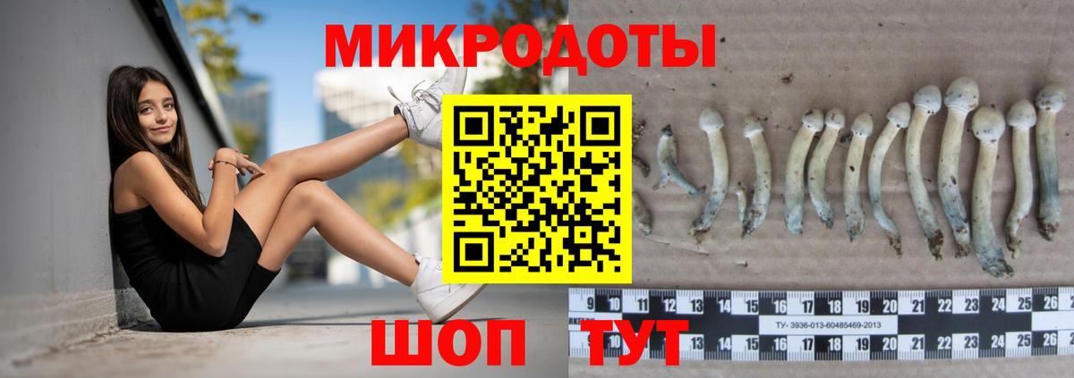 Псилоцибиновые грибы мицелий  Вход с VPN  Северобайкальск 